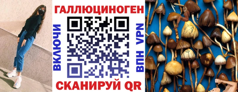 Псилоцибиновые грибы Psilocybe  сайты даркнета телеграм  Петровск  как найти закладки 