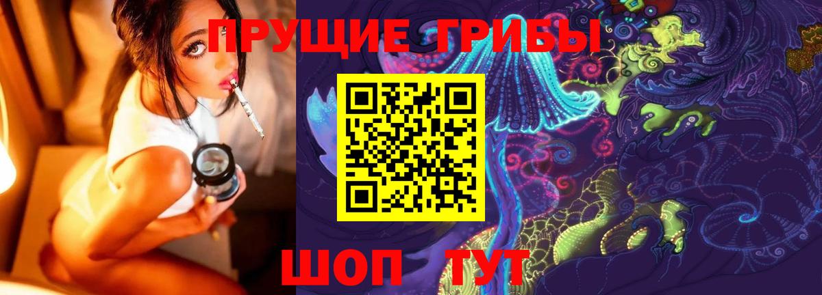 Галлюциногенные грибы Psilocybine cubensis Петровск